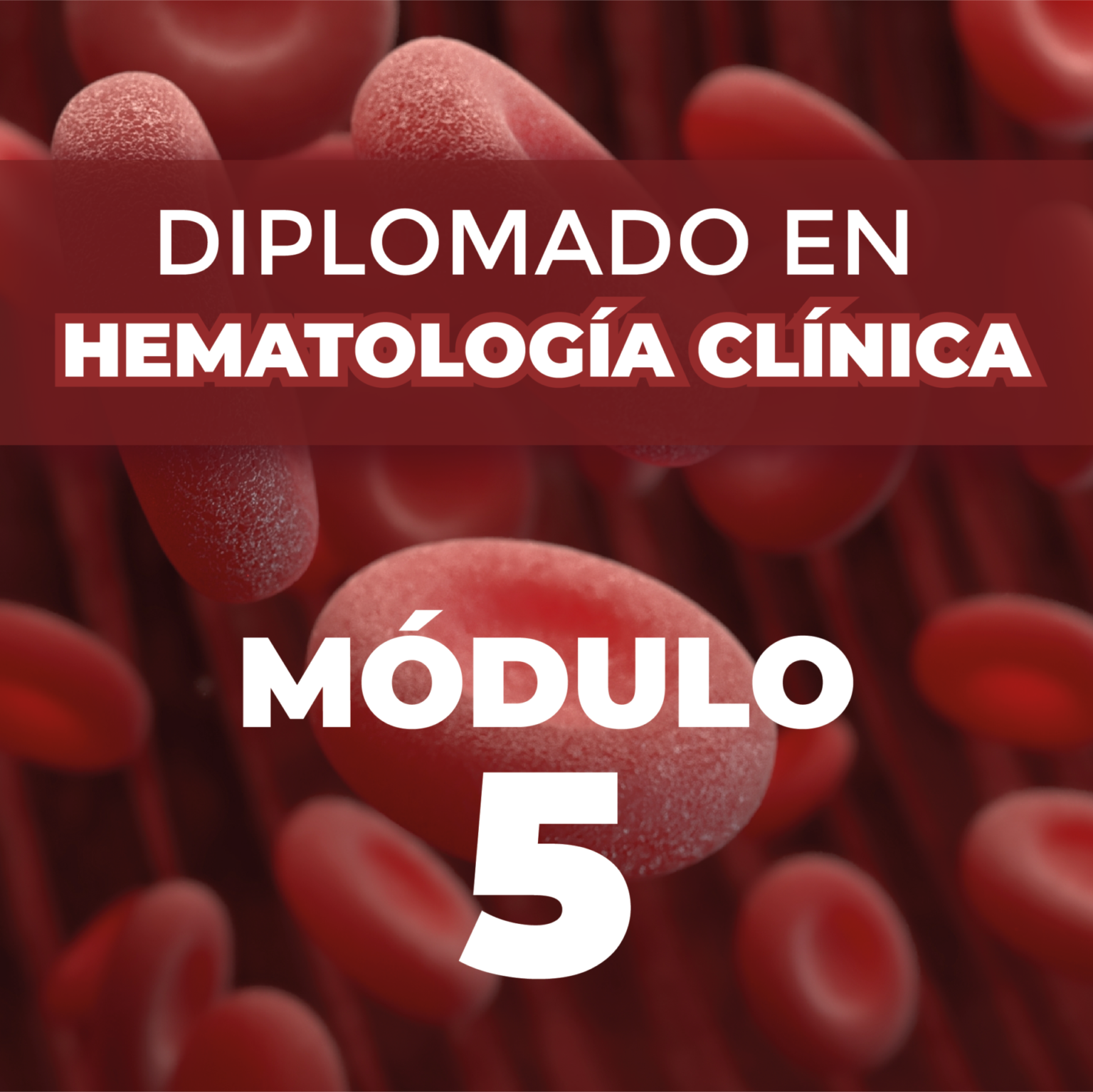 Diplomado en Hematología Clínica 2da Generación Módulo 5 Hematología