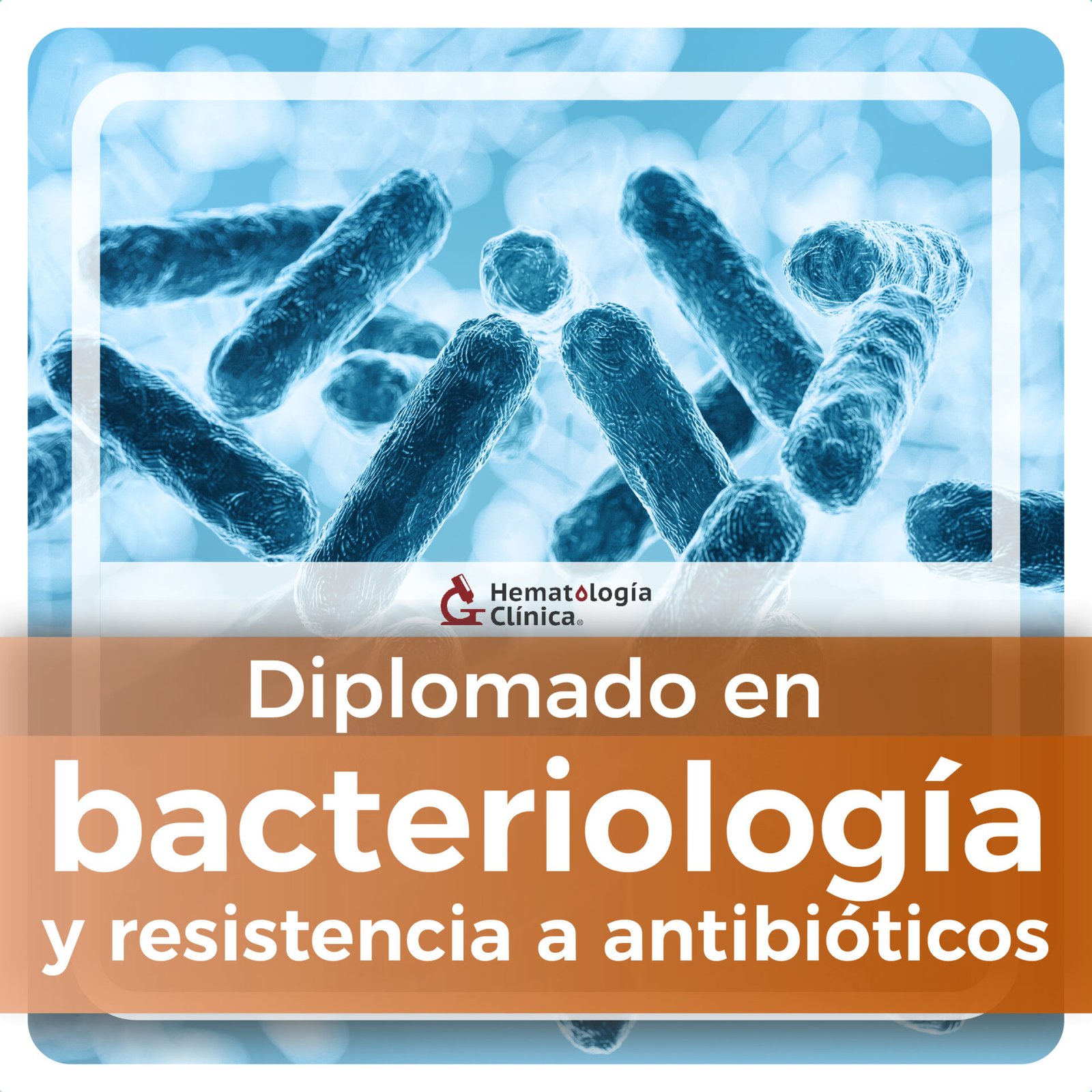 Diploma Final Diplomado De Bacteriolog A Y Resistencia A Antibi Ticos