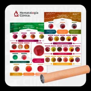 Pósters de Bacteriología para Laboratorio Clínico