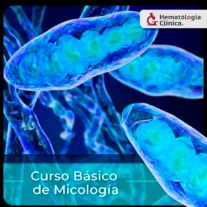 Curso Básico de Micología (Noviembre 2025).