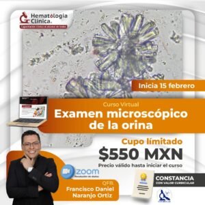 Examen microscópico de la orina (Febrero 2026)