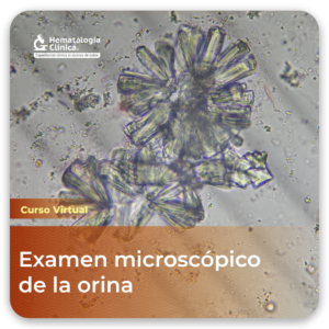 Examen microscópico de la orina (Febrero 2026)