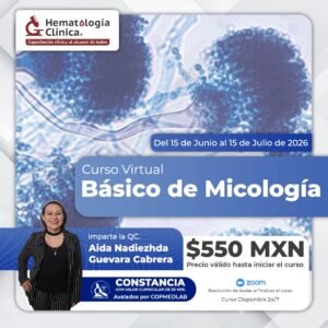 Curso Básico de Micología (Junio 2026)