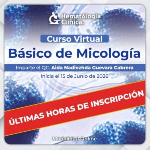 Curso Básico de Micología (Junio 2026)