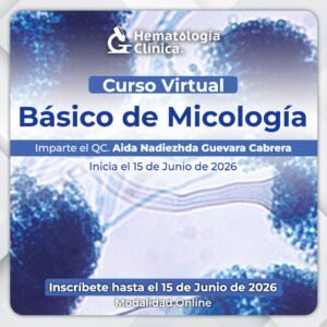 Curso Básico de Micología (Junio 2026)