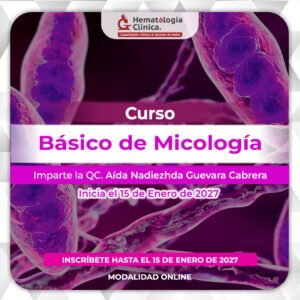 Curso Básico de Micología (Enero 2027)